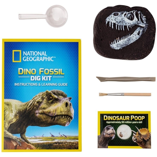 National Geographic Dinosaur Dig Kit (Billede 2 af 5)