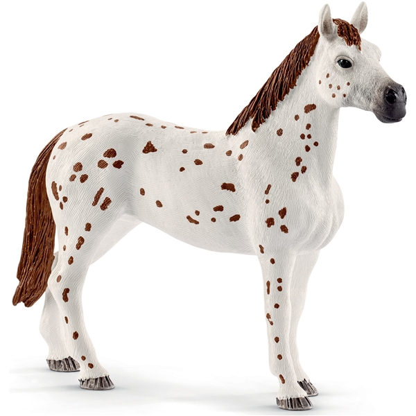 Schleich 42433 Horse Club Lisa Træning (Billede 3 af 7)