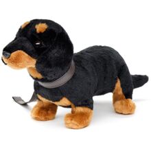Gravhund med snor