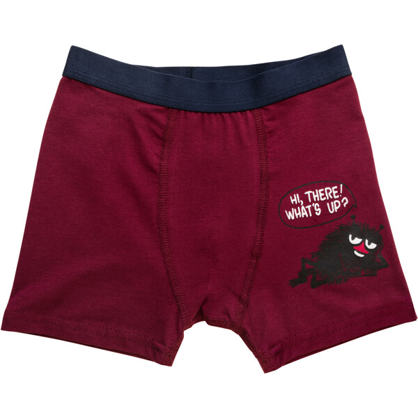 Mumin Boxershorts Fodspor2 Blå 2-pak (Billede 3 af 3)