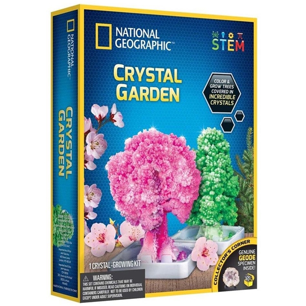 National Geographic Crystal Garden Kit (Billede 1 af 4)