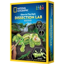 National Geographic Gecko Dissektion Lab