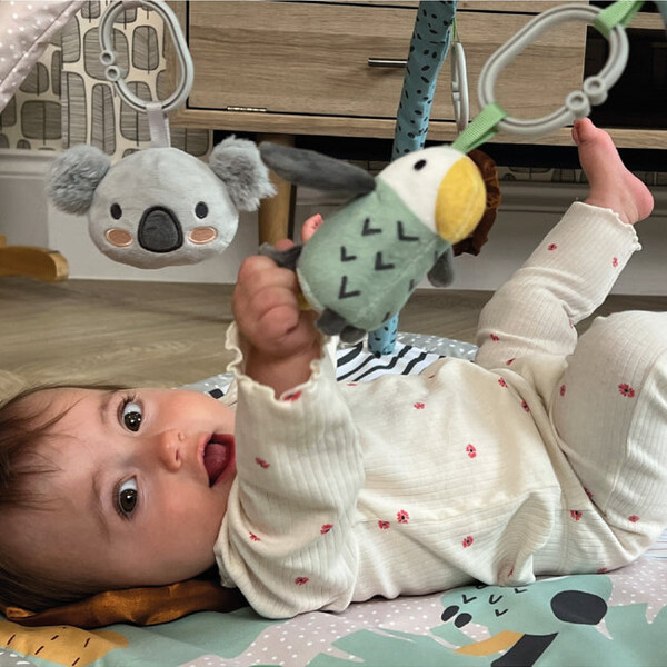 Nûby Animal Adventure Playgym (Billede 4 af 4)