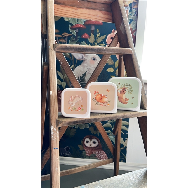 Snackbokse x 3 Skoven Grøn (Billede 3 af 3)