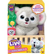 Little Live Pets Min Baby Koala