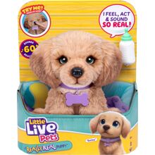 Little Live Pets Min helt ægte Daxie-hvalp