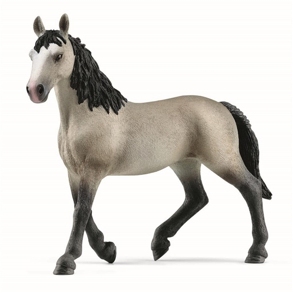 Schleich 13955 Cheval de Selle Francais (Billede 1 af 3)