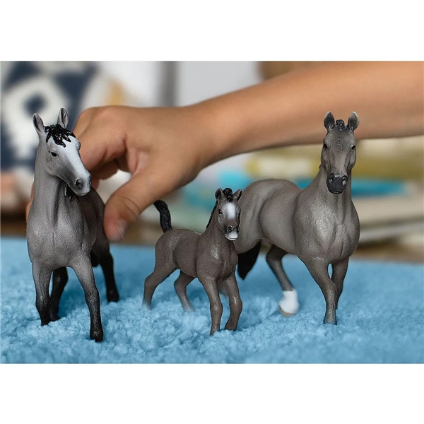 Schleich 13955 Cheval de Selle Francais (Billede 3 af 3)