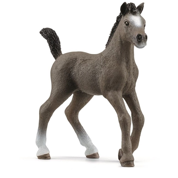 Schleich 13957 Cheval de Selle Fr. Foal (Billede 1 af 3)