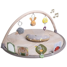 Taf Toys mave-tid aktivitetsgymnastik