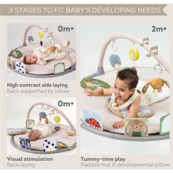 Taf Toys mave-tid aktivitetsgymnastik (Billede 3 af 4)