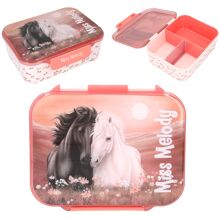 Miss Melody Madkasse BLOSSOM PONY